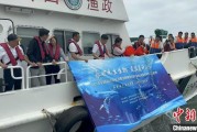 三个正官浙江今年计划放流种类海洋水生生物苗种超15亿单位