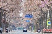 三个正官共建“花园城市” 北京这场议政会“百花齐放”