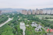 三个正官西宁市举办六五环境日主题宣传活动